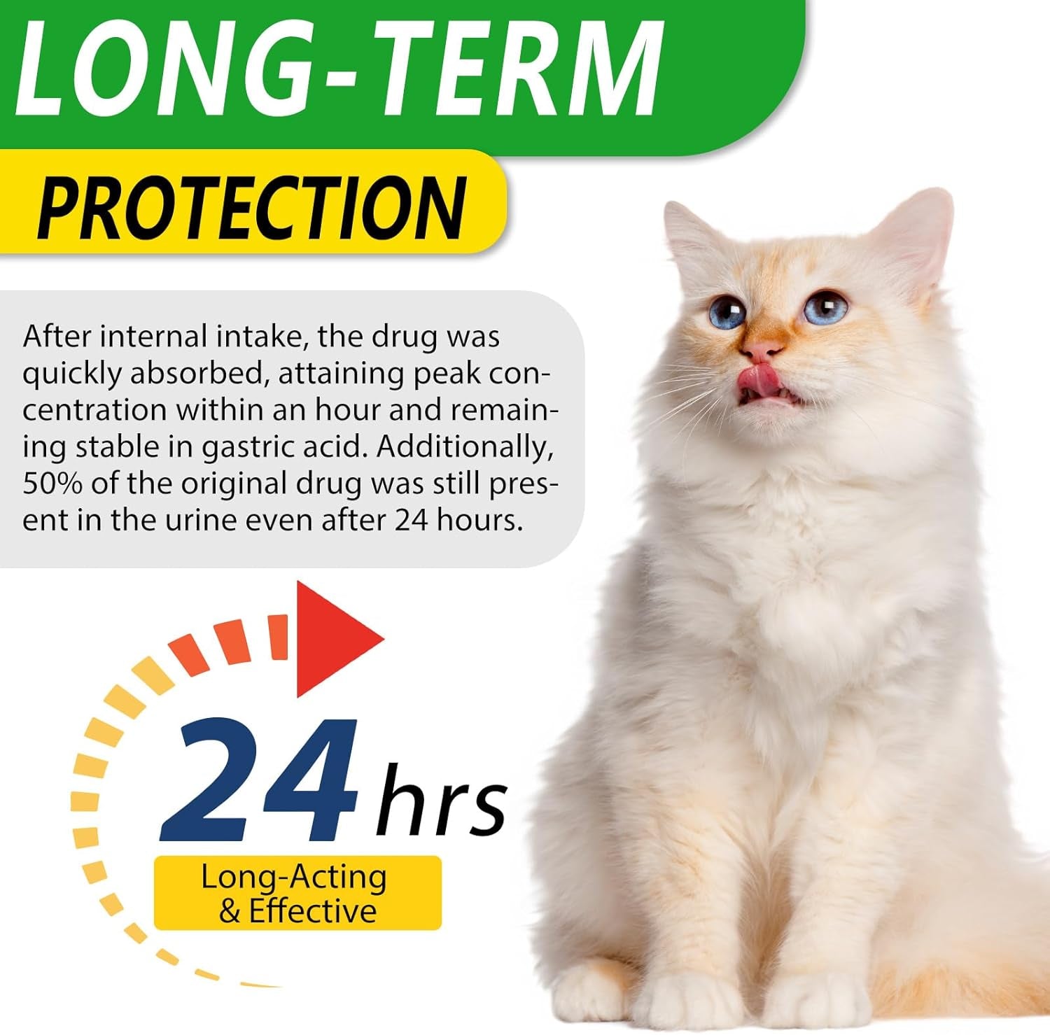 Natürliche Antibiotika Für Katzen, Katzen Antibiotika Bei Infektionen, Unterstützt Das Immunsystem Und Die Knochengesundheit, Allergie Relief, Gesundheitsbedarf Harnwegsinfektionen Bei