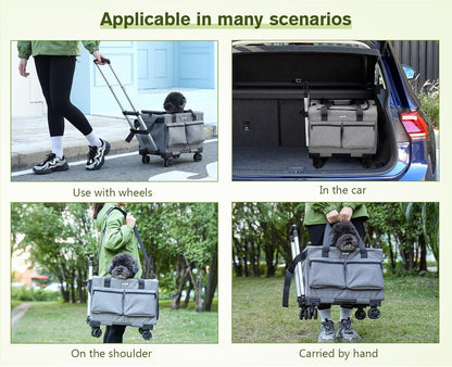 Pecute Transporttasche Katze Mit Rollen 2 in 1 Bis 7 Kg, Katzen Transportboxen, Abnehmbarer Faltbarer Katzentasche Hundetrolley Mit Fenster, Hundetragetasche Schultergurt Katzenbox, Grau