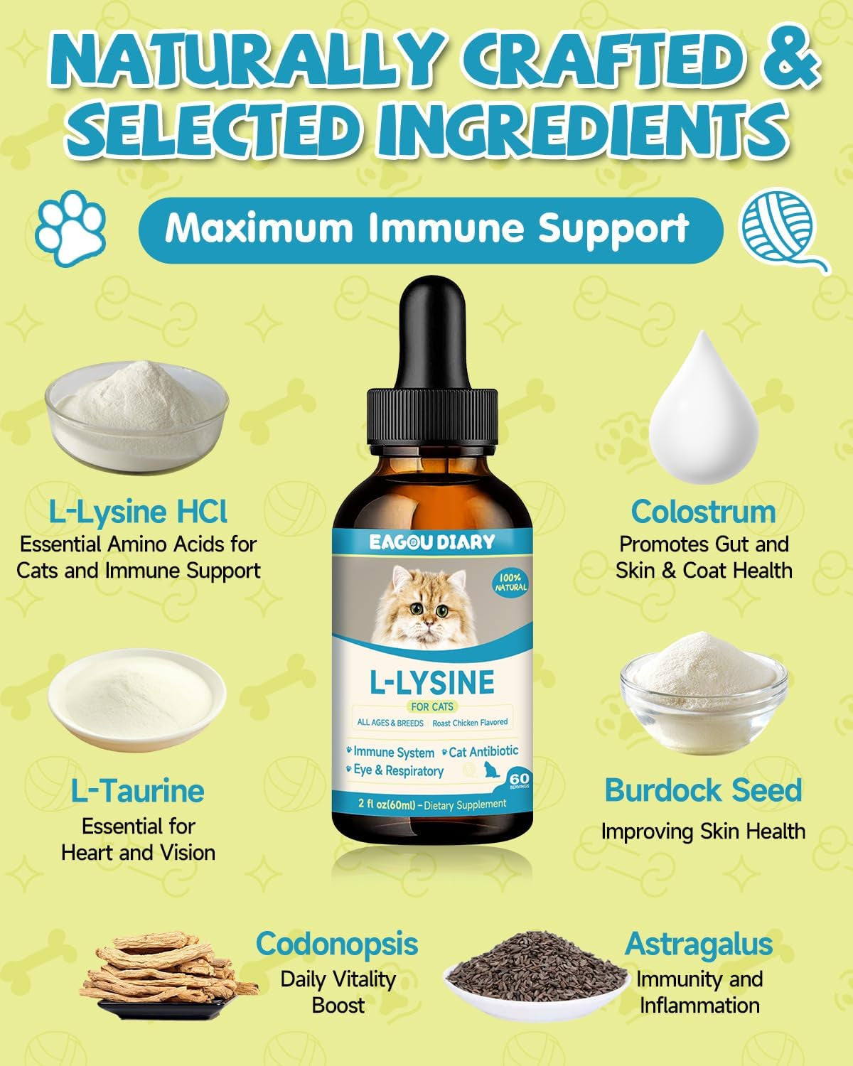 Lysin Katze - L-Lysin Tropfen Für Katzen Und Kätzchen, Kätzchen Immunsystem, Schnupfen, Linderung Von Allergien, Niesen, Nahrungsergänzungen Mit Vitaminen Und Mineralien, Kolostrum, Taurin