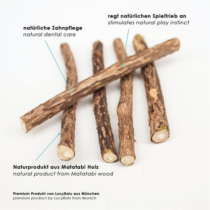 Lucybalu® 6X Matatabi Sticks Für Katzen | Katzen Zahnpflege Natur |Kauknochen Für Katzen Mundgeruch | Katzen Sticks Aus Matatabi Holz | Katzen Zahnbürste | Matatabi Katzenspielzeug Selbstbeschäftigung