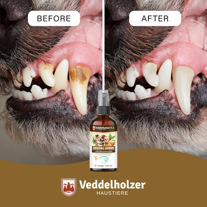 Veddelholzer 150 Ml Probiotisches Dentalspray Set Für Hunde & Katzen Mit Fingerzahnbürste & Enzymkomplex Zahnpflege Zahnsteinentferner Effektiv Gegen Mundgeruch Natürliche Zahnpflege Als Spray