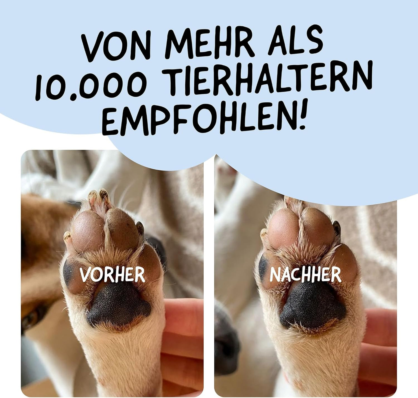 Belly® Pfotenbalsam Hund -50Ml- Pfotenpflege Für Hunde Im Winter - Pfotenbalsam Für Hunde Bei Schnee, EIS & Streusalz - Hundepfoten Balsam - Pfotenpflege Hund