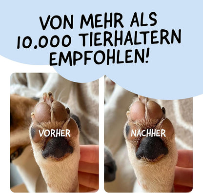 Belly® Pfotenbalsam Hund -50Ml- Pfotenpflege Für Hunde Im Winter - Pfotenbalsam Für Hunde Bei Schnee, EIS & Streusalz - Hundepfoten Balsam - Pfotenpflege Hund