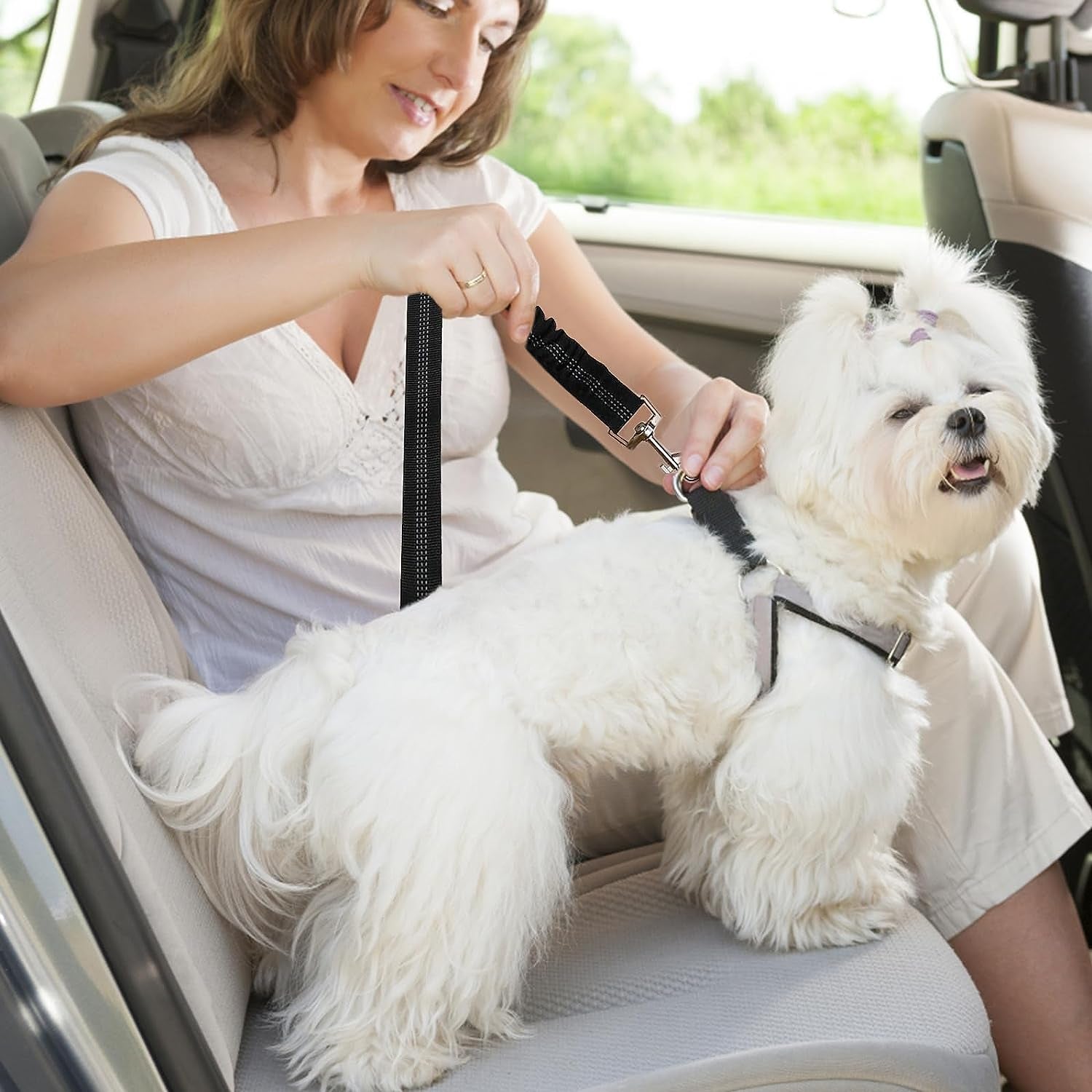 2 Stück Hundegurt Fürs Auto, Länge Verstellbarer Hund Anschnallgurt, Mit Elastischer Ruckdämpfung Und Starke Karabiner Sicherheitsgurt, Hundesicherheitsgeschirr Für Alle Hunde Und Katzen