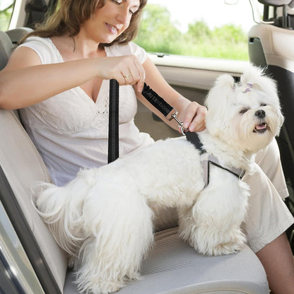2 Stück Hundegurt Fürs Auto, Länge Verstellbarer Hund Anschnallgurt, Mit Elastischer Ruckdämpfung Und Starke Karabiner Sicherheitsgurt, Hundesicherheitsgeschirr Für Alle Hunde Und Katzen