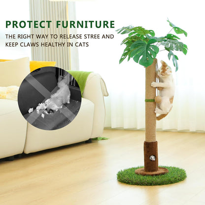Cat Scratching Post for Indoor Cats and Kitten - 35.43" Tall Cat Scratching Post with Sisal Rope,Palm Tree Cat Scratch Post with Hanging Ball