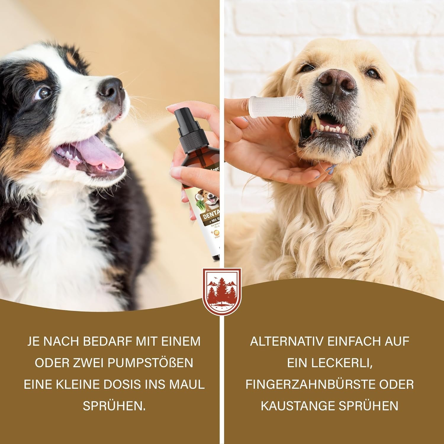 Veddelholzer 150 Ml Probiotisches Dentalspray Set Für Hunde & Katzen Mit Fingerzahnbürste & Enzymkomplex Zahnpflege Zahnsteinentferner Effektiv Gegen Mundgeruch Natürliche Zahnpflege Als Spray