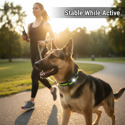 Reaktion Führungs-Kragen Antibellhalsband Für Hunde Mit 3 Modi, Einstellbarer Hund Maulkorb Trainingshalsband 2025, Bis 800 M Reichweite, Wasserdichtes Erziehungshalsband