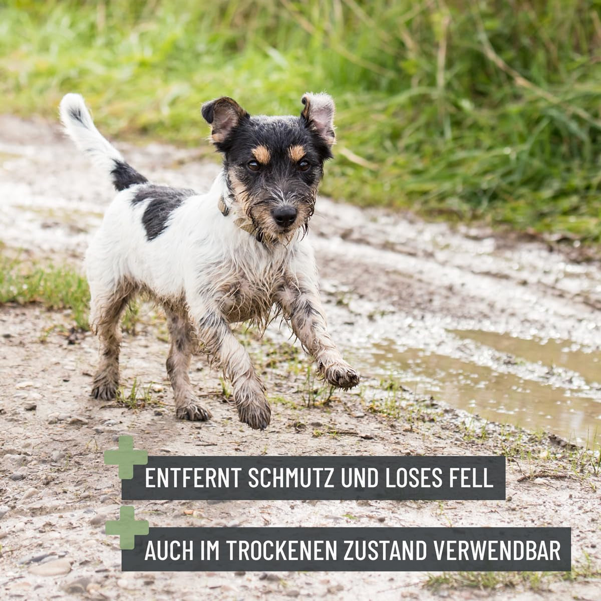 Reavet Badebürste Gummistriegel Für Hunde, Katzen Kurzhaar & Langhaar, Mit Massageeffekt - Entfernt Loses Deckhaar, Staub & Schmutz I Badestriegel Zum Einmassieren Von Hundeshampoo